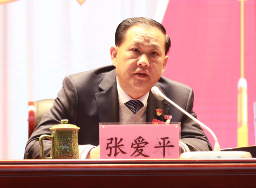 张爱平同志宣读中共9U在线第一届党委成员分工及纪委成员分工